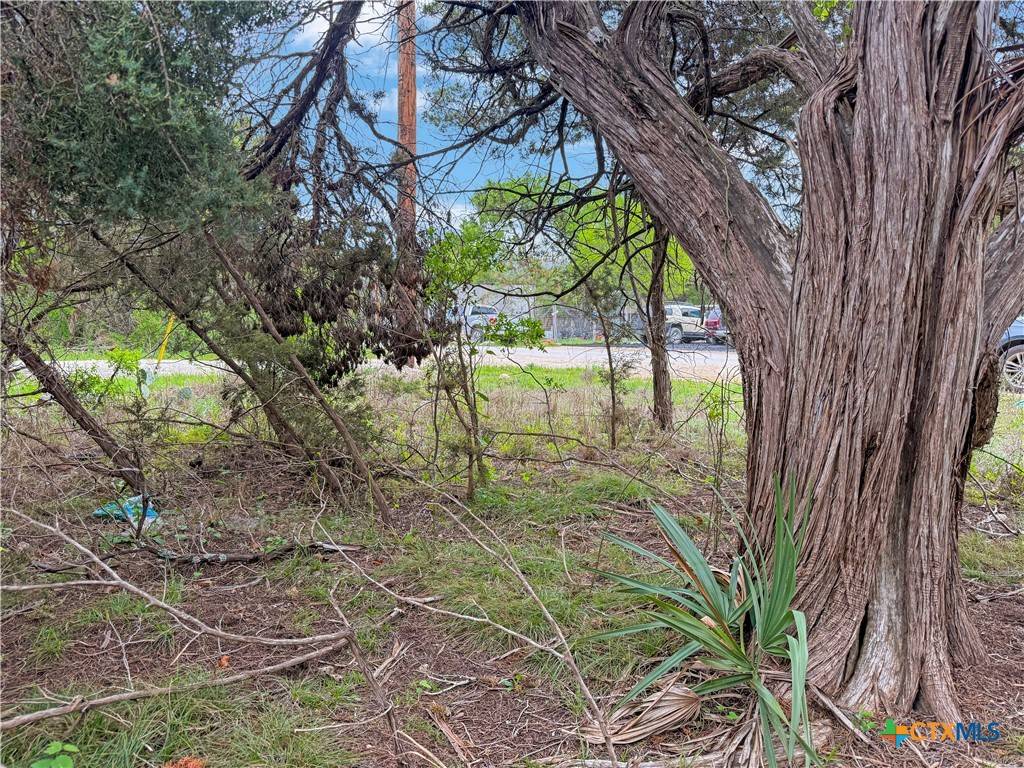 Spring Branch, TX 78070,1377 Deer Park DR