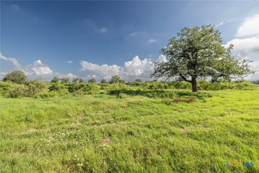 Gonzales, TX 78629,Lot 1-B County Road 491