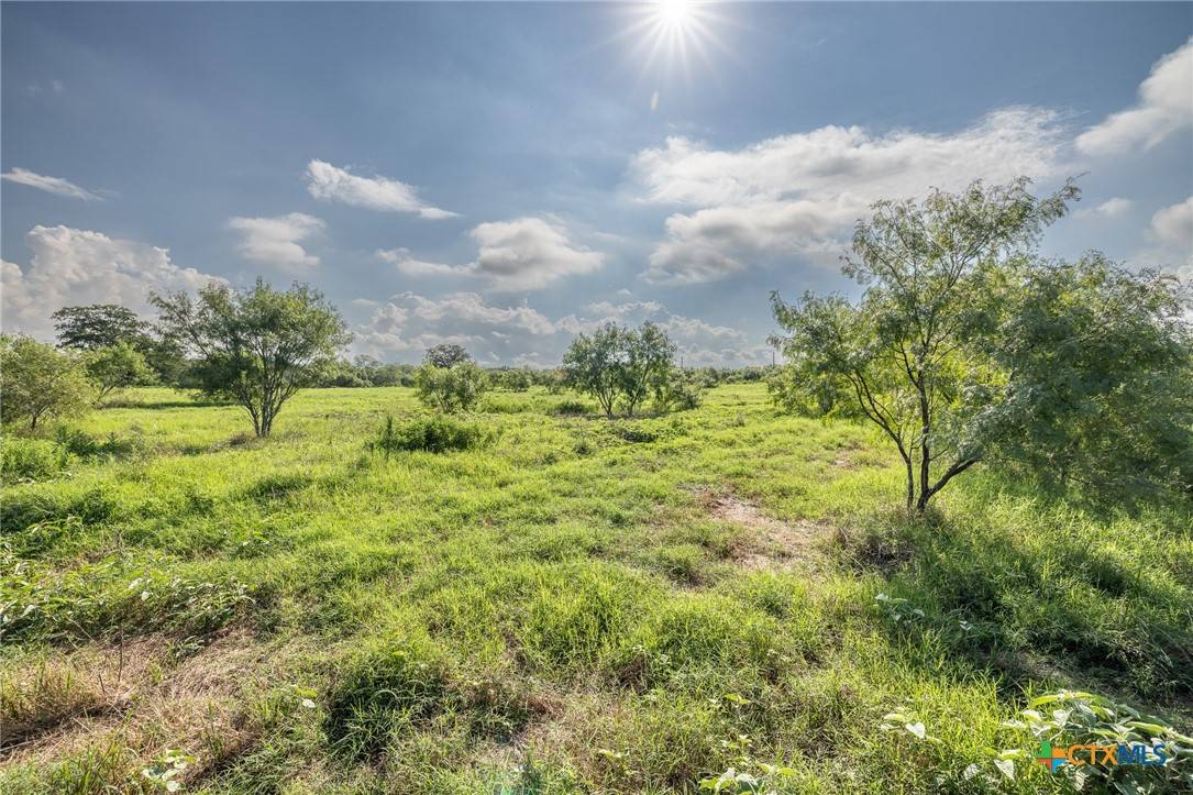 Gonzales, TX 78629,Lot 1-C County Road 491