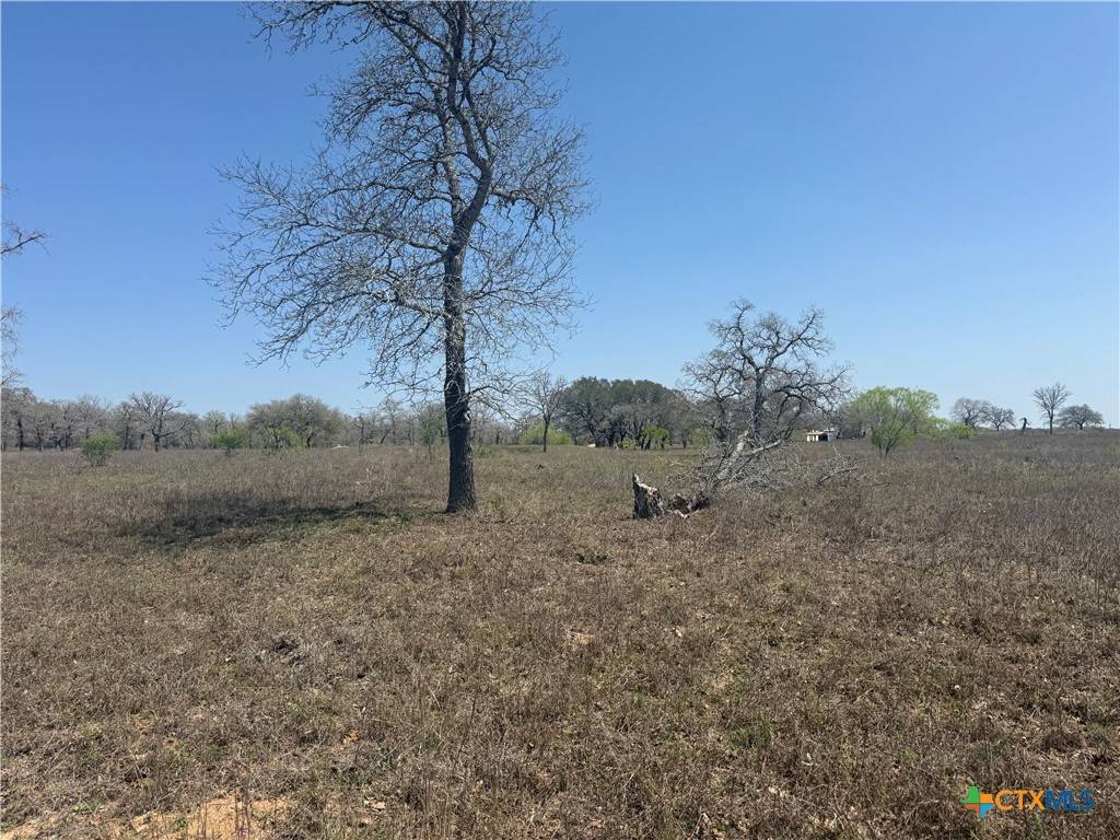 Stockdale, TX 78160,2162 County Road 429