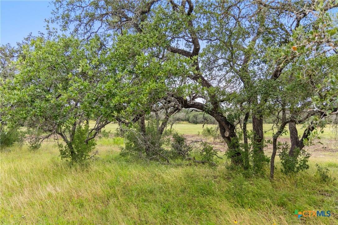 Johnson City, TX 78636,1422-32 Ranch to Market 2766