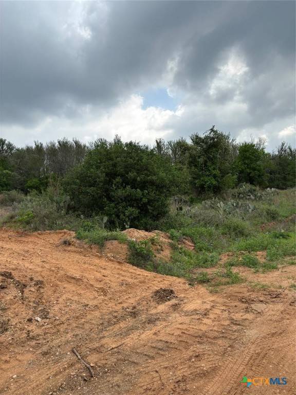 Bastrop, TX 78602,316 Kahana LN