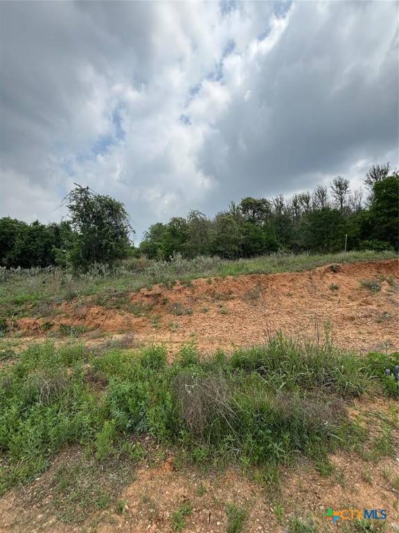 Bastrop, TX 78602,316 Kahana LN
