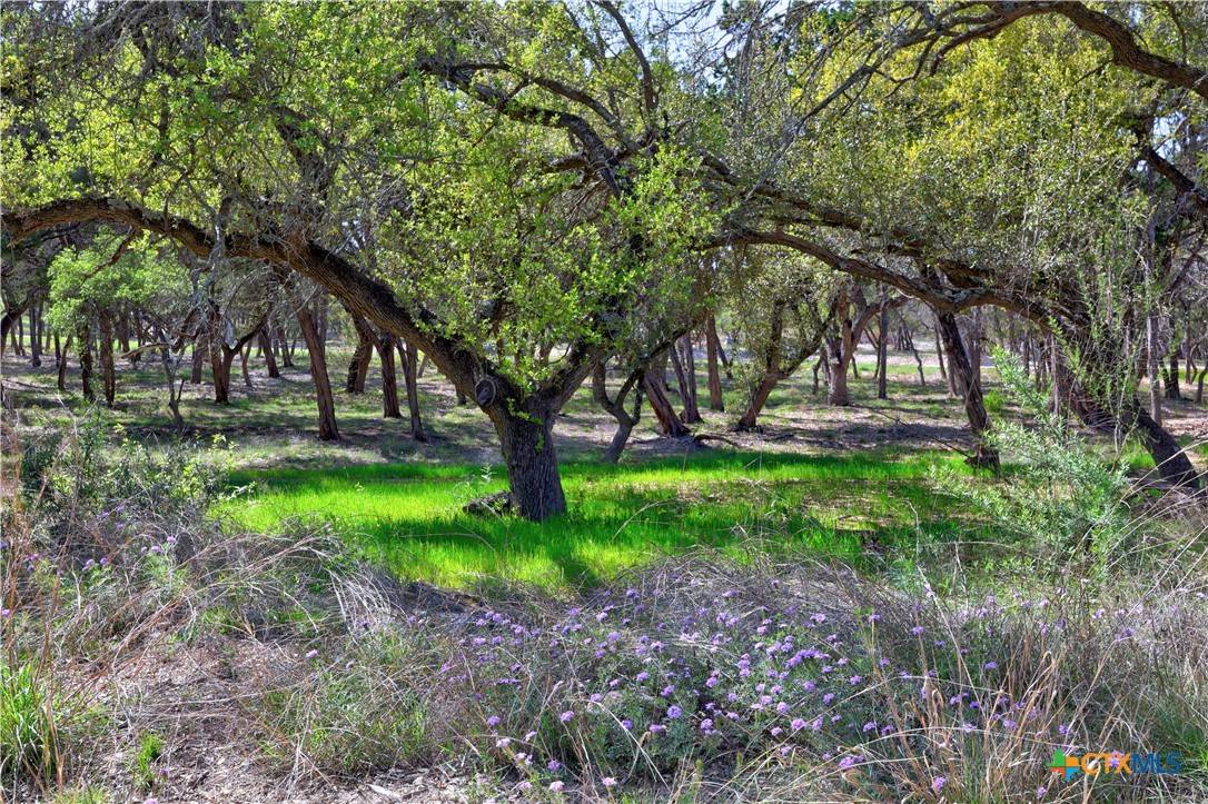 Wimberley, TX 78676,TBD Moonridge LN