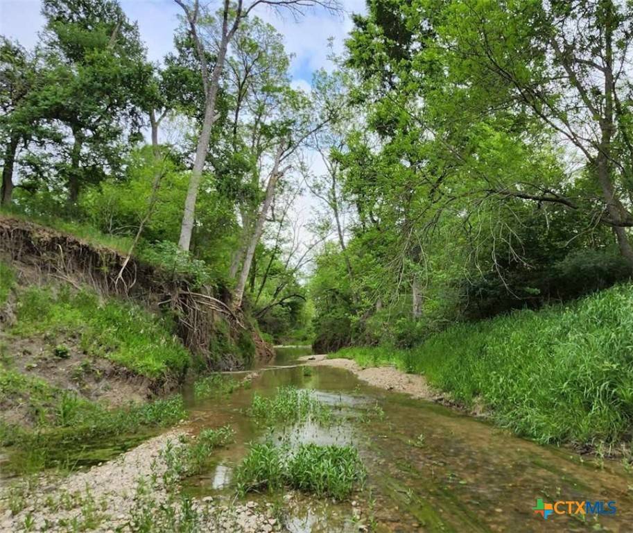 Holland, TX 76534,TBD Rosanky Rd, Tract 4