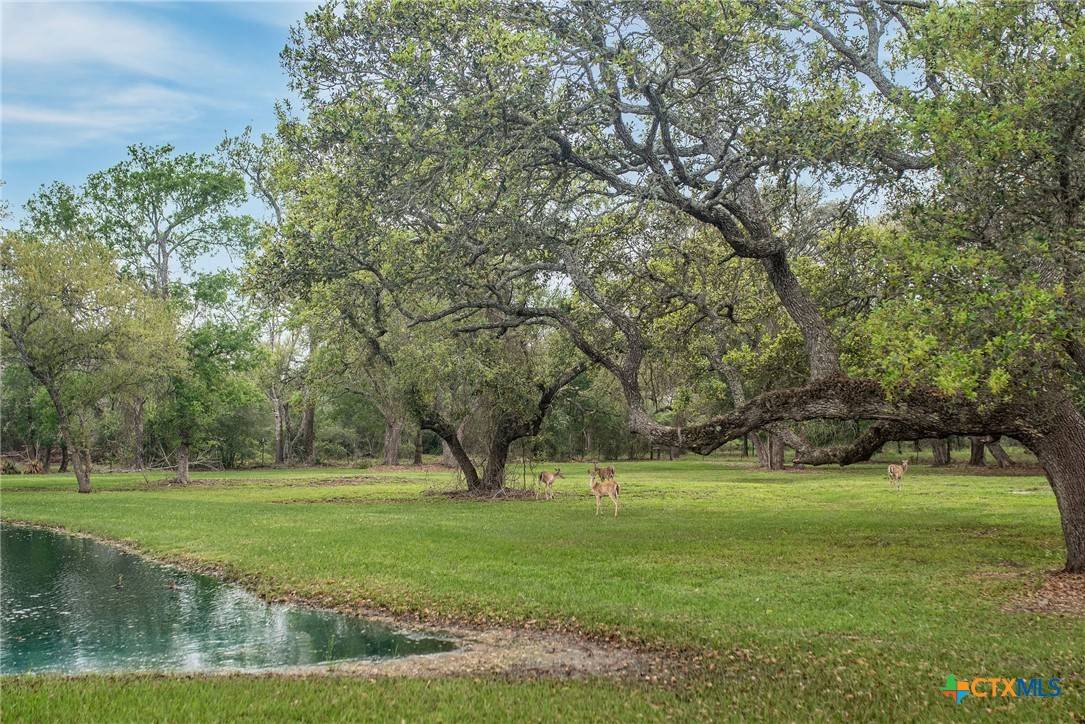 Edna, TX 77957,2502 County Road 401