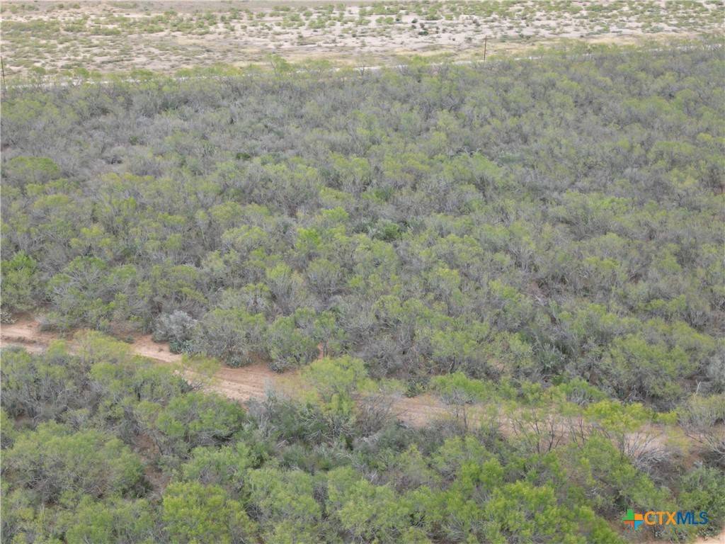 Charlotte, TX 78011,9538 Fm 1333