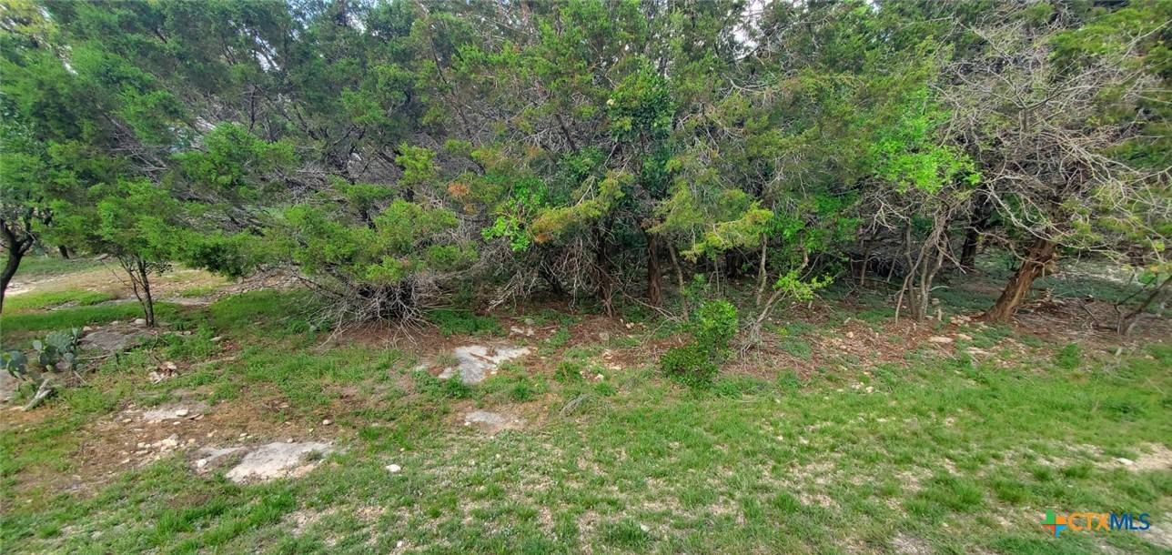 Temple, TX 76502,15968 & 15974 Brazos DR