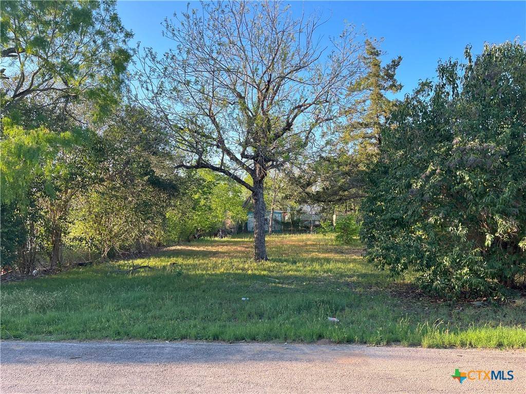 Seguin, TX 78155,206 Cottage ST