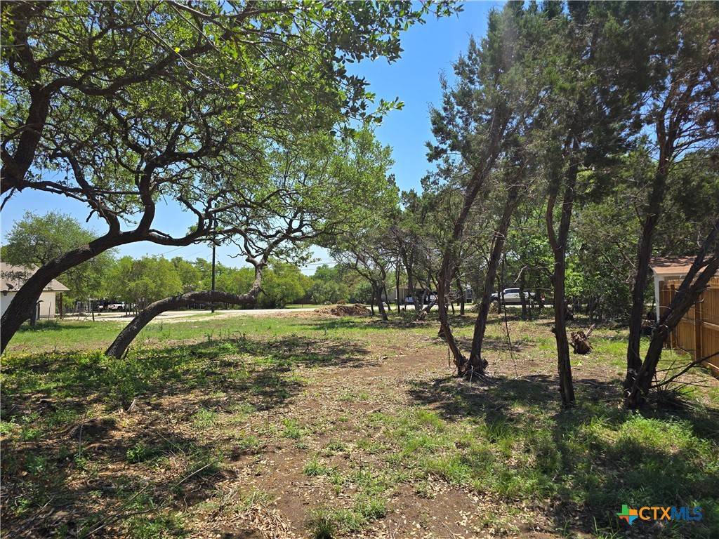 Spring Branch, TX 78070,449 High DR