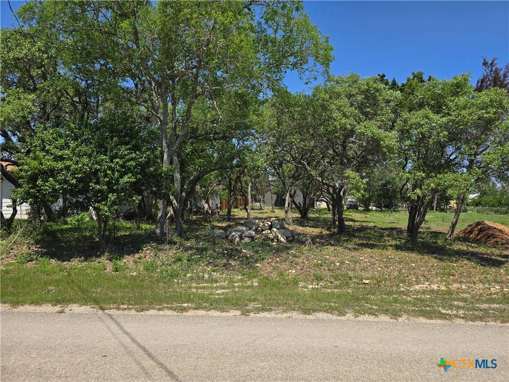Spring Branch, TX 78070,449 High DR
