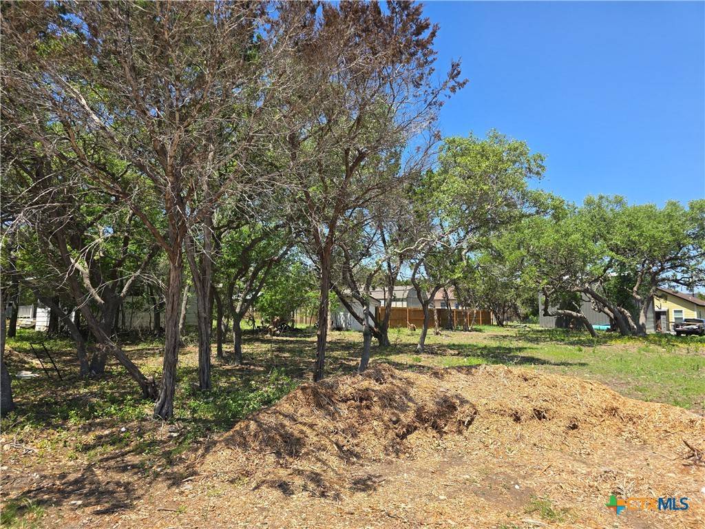Spring Branch, TX 78070,449 High DR