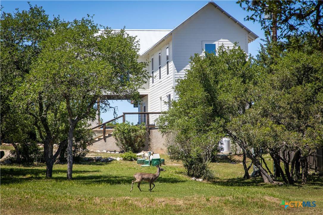New Braunfels, TX 78132,1259 Edwards BLVD