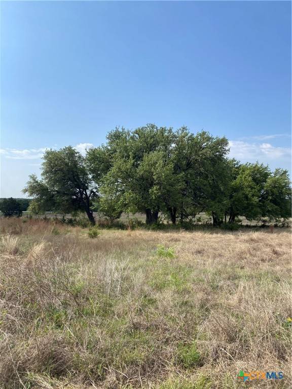 Lampasas, TX 76550,185 N County Road 2227