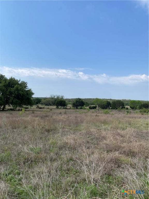 Lampasas, TX 76550,185 N County Road 2227