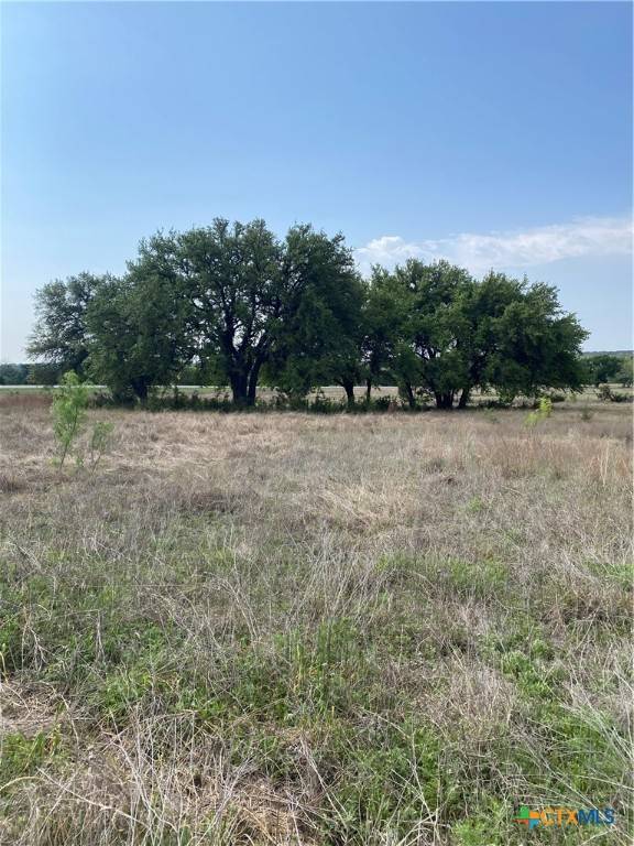 Lampasas, TX 76550,185 N County Road 2227