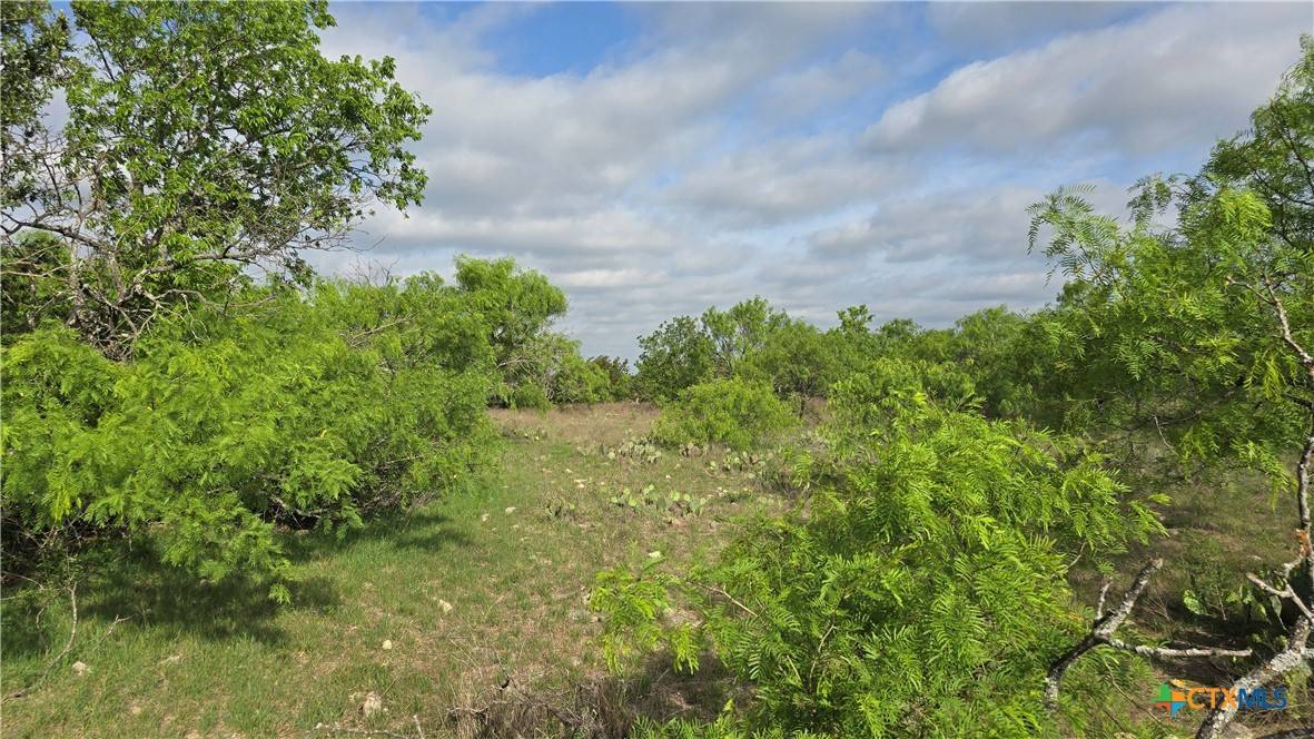 Copperas Cove, TX 76522,Lot 121 Pitchfork Ranch RD