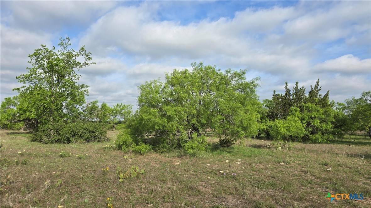Copperas Cove, TX 76522,Lot 121 Pitchfork Ranch RD