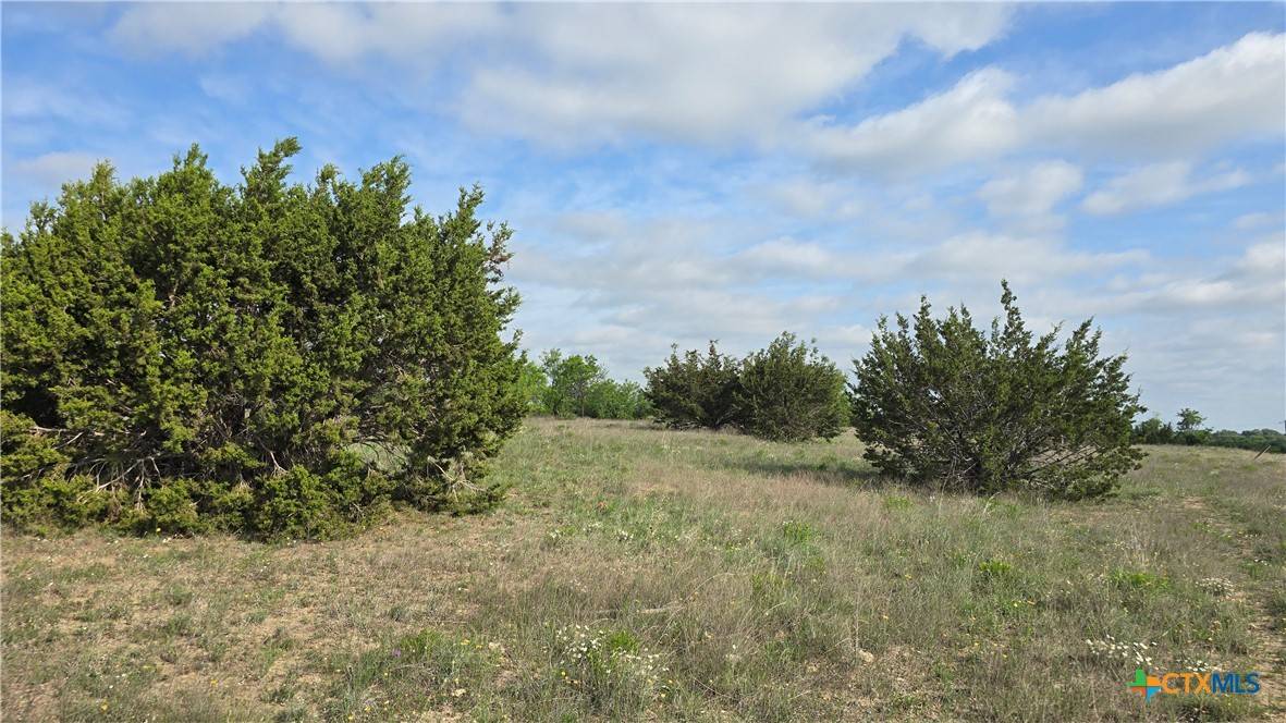 Copperas Cove, TX 76522,Lot 120 Pitchfork Ranch RD