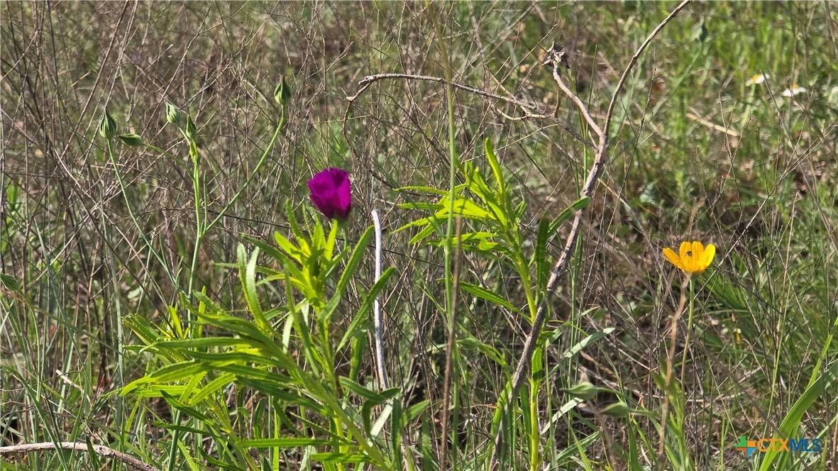 Copperas Cove, TX 76522,Lot 120 Pitchfork Ranch RD