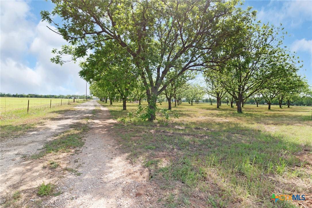 Lometa, TX 76853,23049 W FM 580