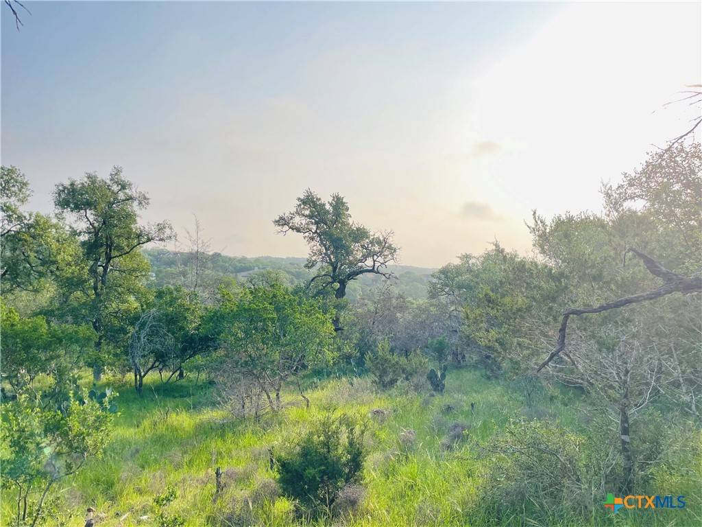 New Braunfels, TX 78132,395 Shady HOLW
