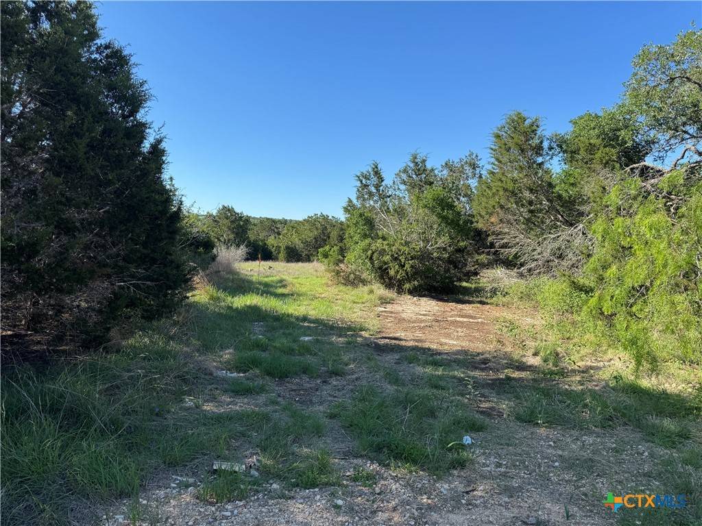 San Marcos, TX 78666,1408 Oakwood LOOP