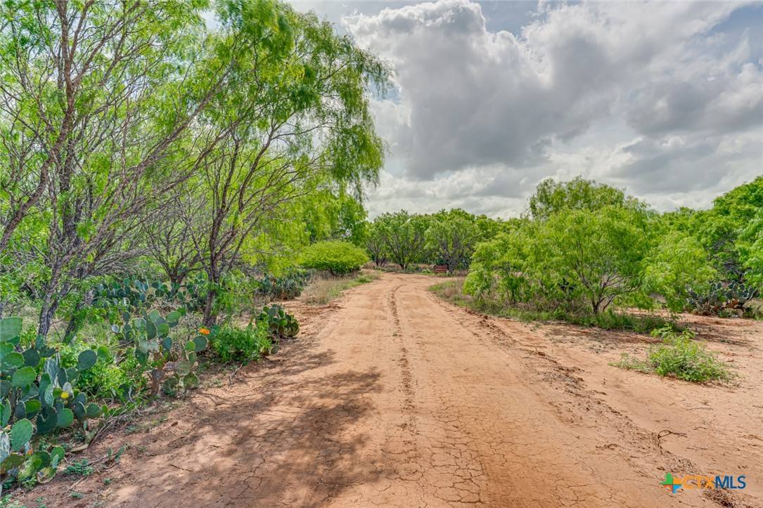 Floresville, TX 78114,551 PR Mia LN