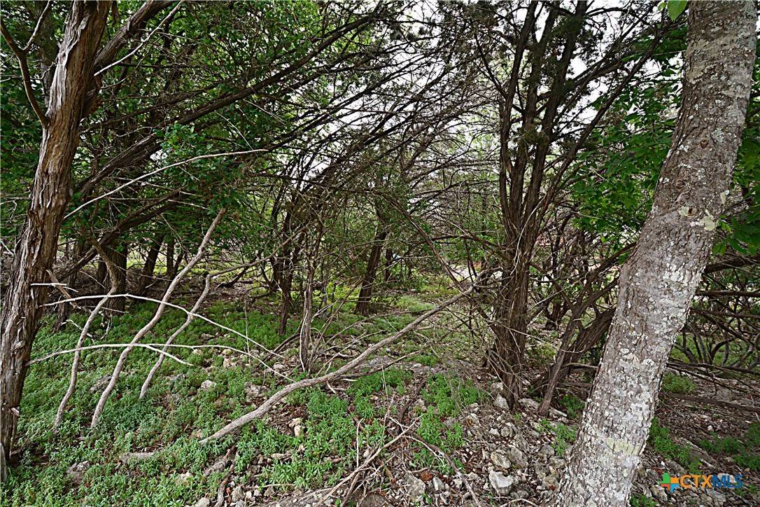 Canyon Lake, TX 78133,1873 Lakeshore DR