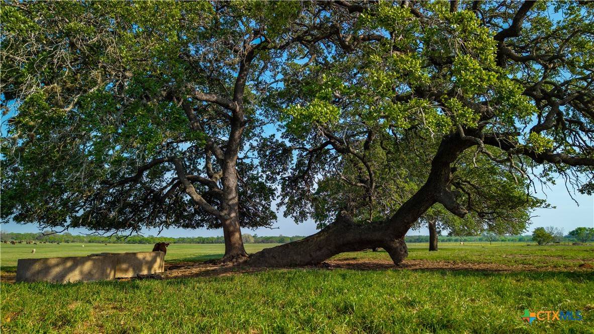 Floresville, TX 78114,TBD County Road 404