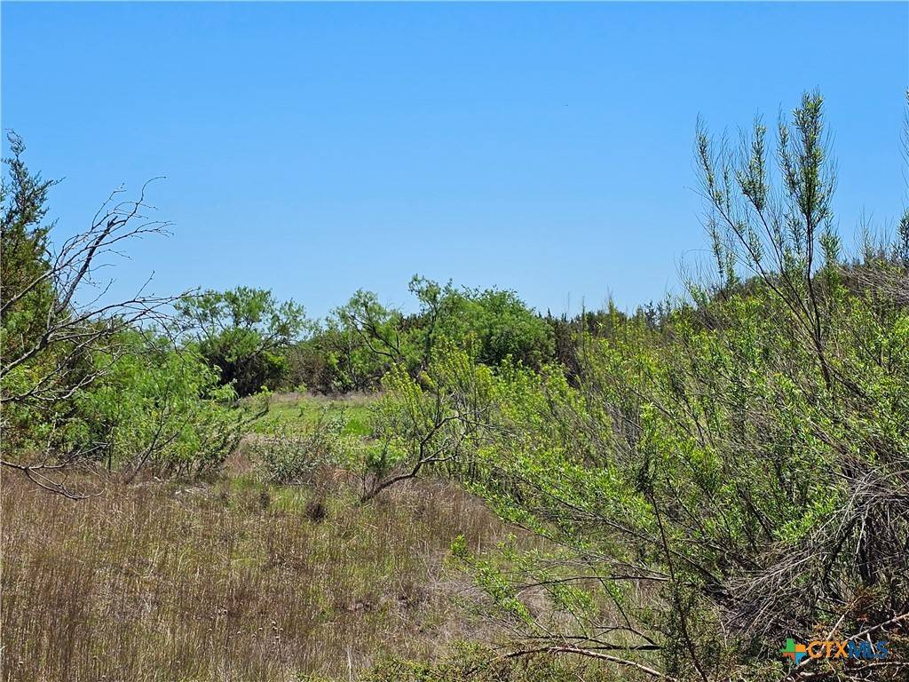 Lampasas, TX 76550,Lot 25 Alta Vista DR