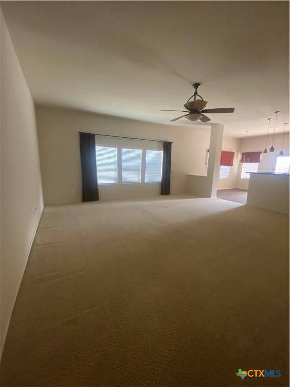 Kyle, TX 78640,112 Yaupon CV