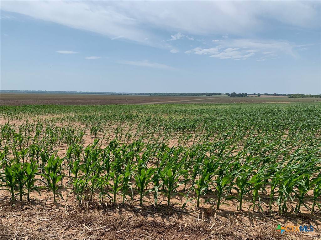 Chilton, TX 76632,TBD County Road 448