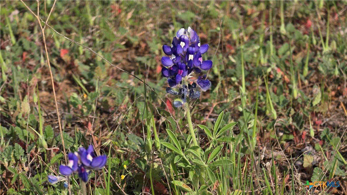 Copperas Cove, TX 76522,Lot 120 & 121 Pitchfork Ranch RD