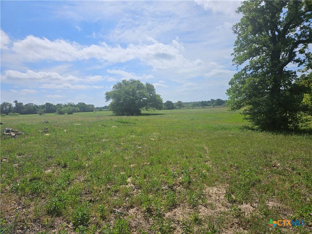 Milano, TX 76556,8912 CR 322