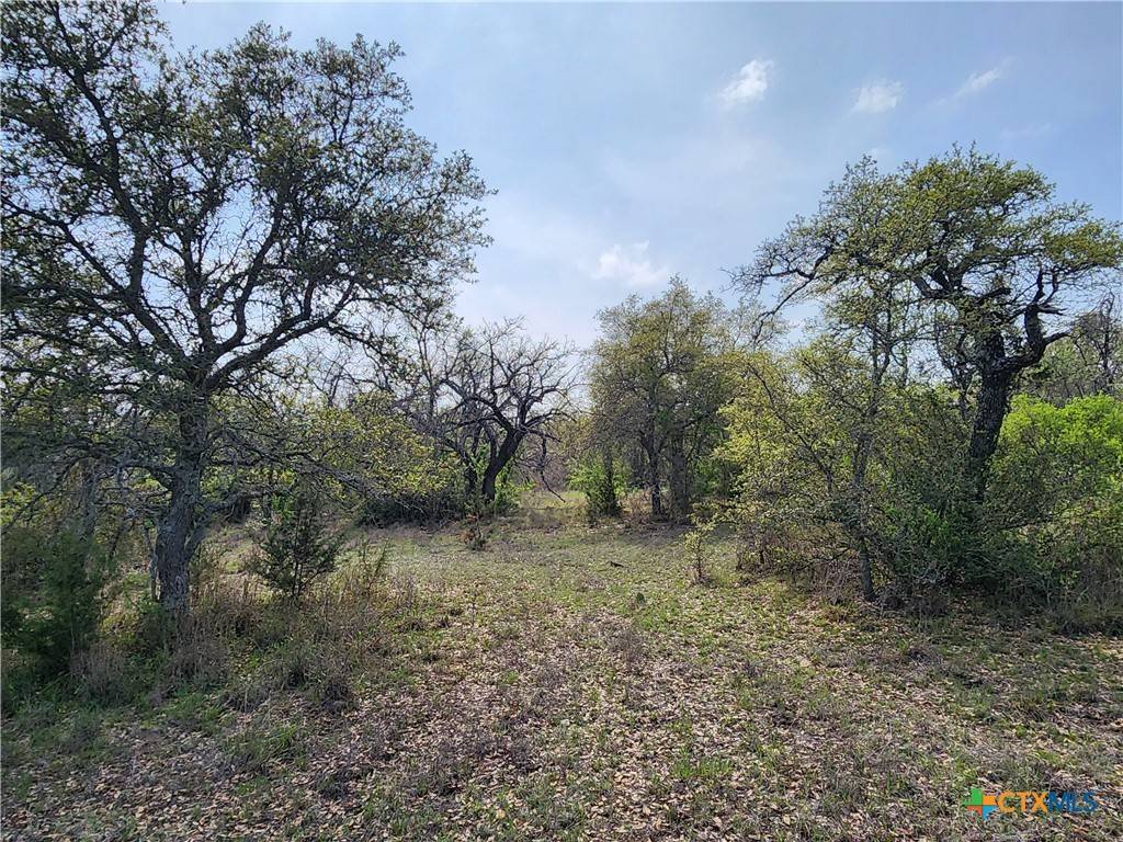 Briggs, TX 78608,212 Oak Glen LN