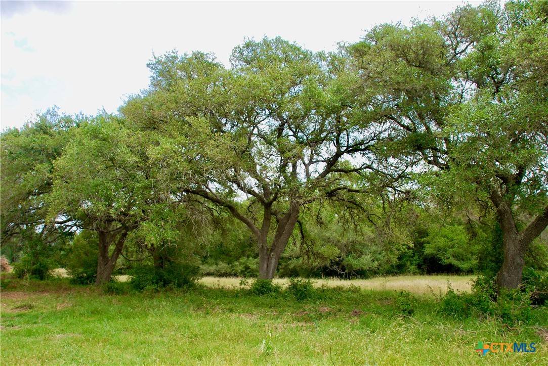 Yoakum, TX 77995,2679 FM 318