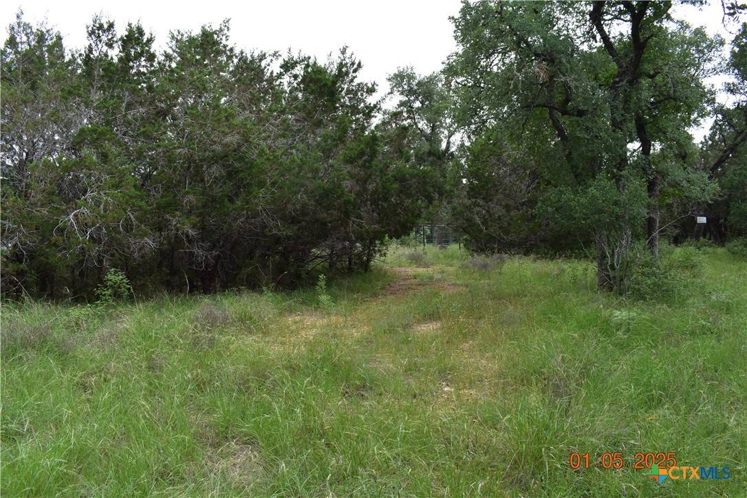 New Braunfels, TX 78132,2315 Haven Bluff CT