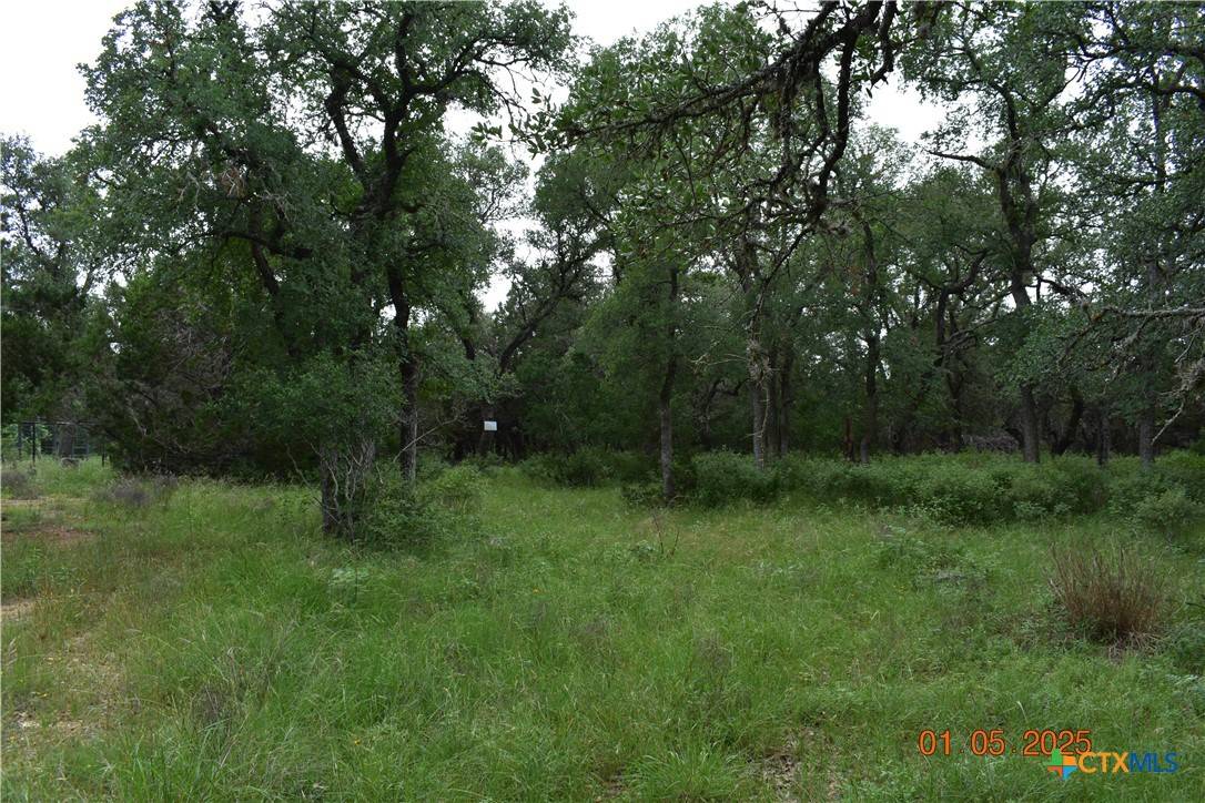 New Braunfels, TX 78132,2315 Haven Bluff CT