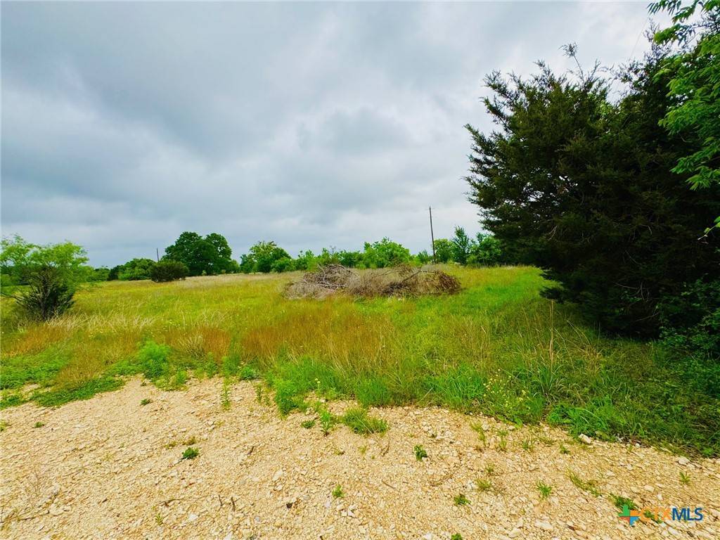 Gatesville, TX 76528,lOT 1 OLD PIDCOKE