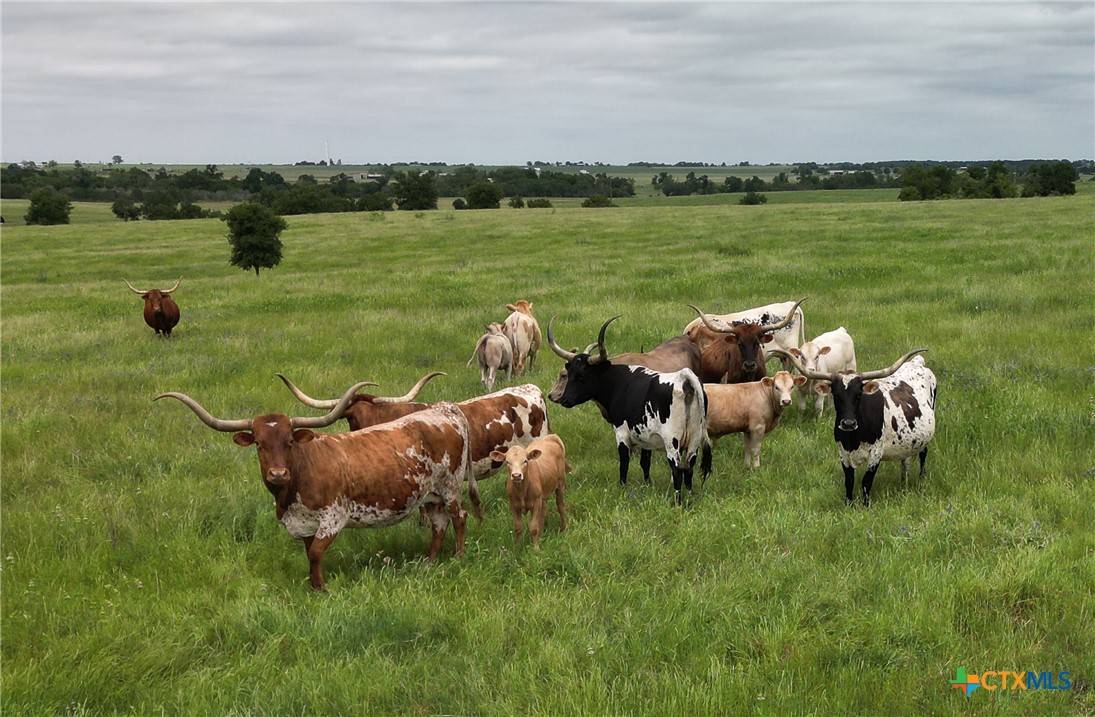 Coupland, TX 78634,1716 A CR 469