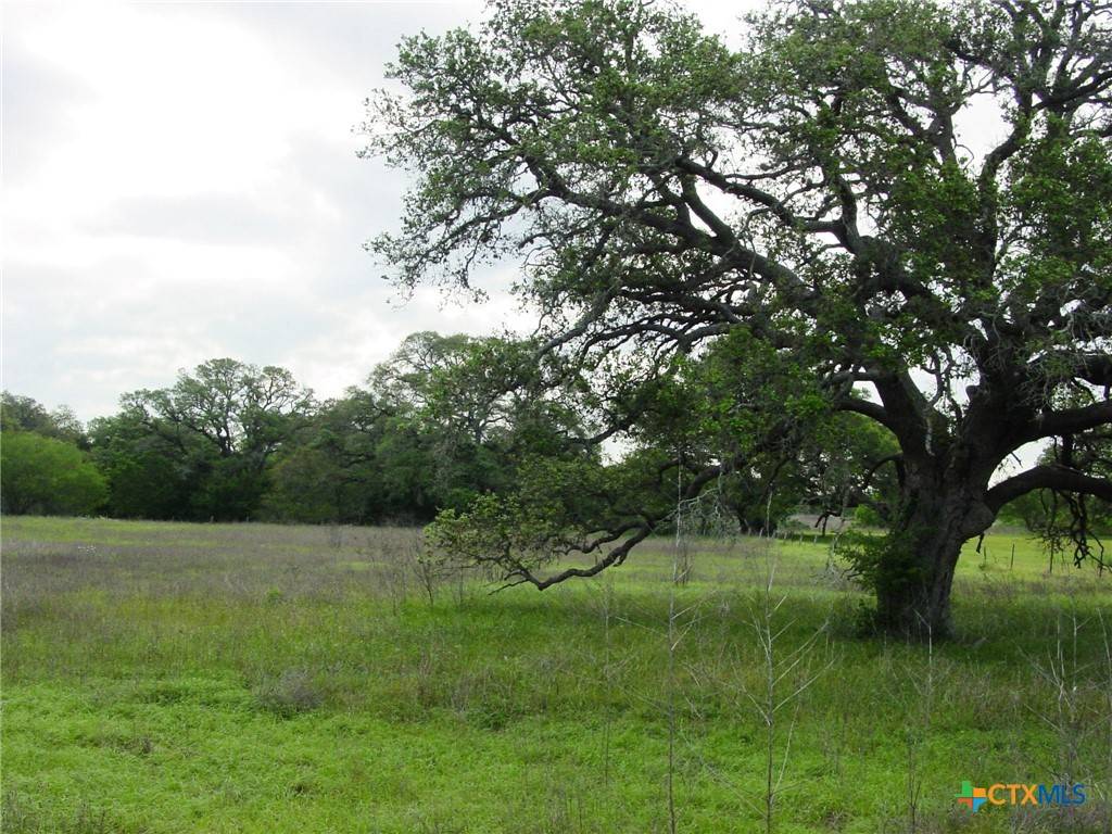 Cuero, TX 77954,419 Shirley Ross