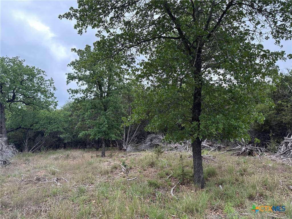 Gatesville, TX 76528,125 Hillcrest DR