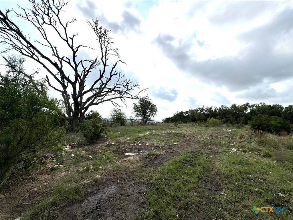 Fredericksburg, TX 78624,1282 Balcones DR