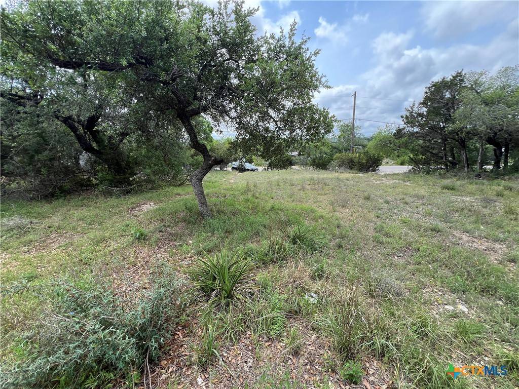 Canyon Lake, TX 78133,572 Wickford WAY