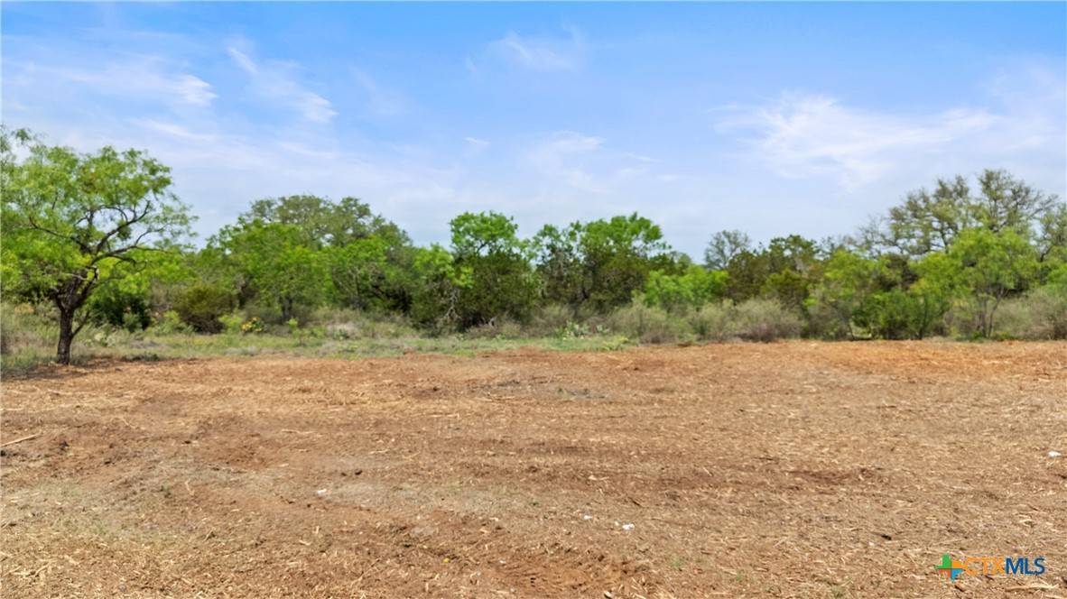 Kingsland, TX 78639,1213 Moose TRL