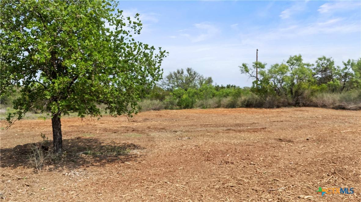 Kingsland, TX 78639,1213 Moose TRL
