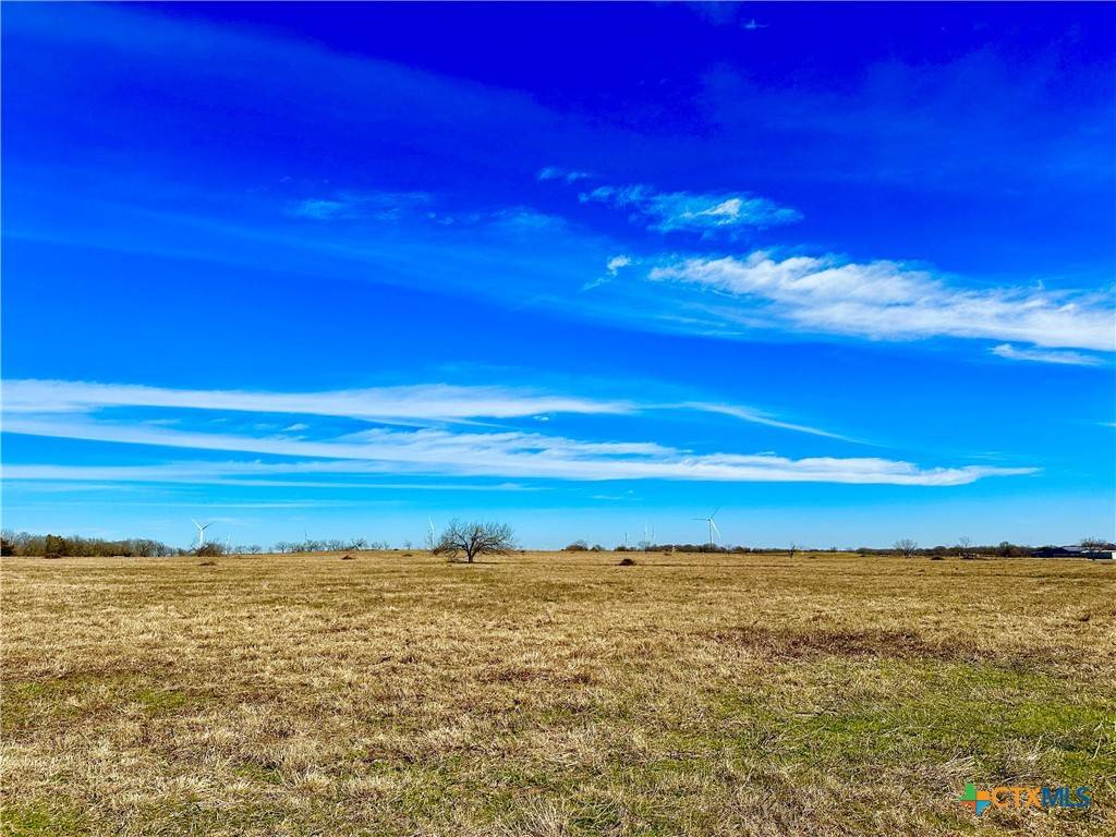 Mount Calm, TX 76673,Tract 4 Fm 339