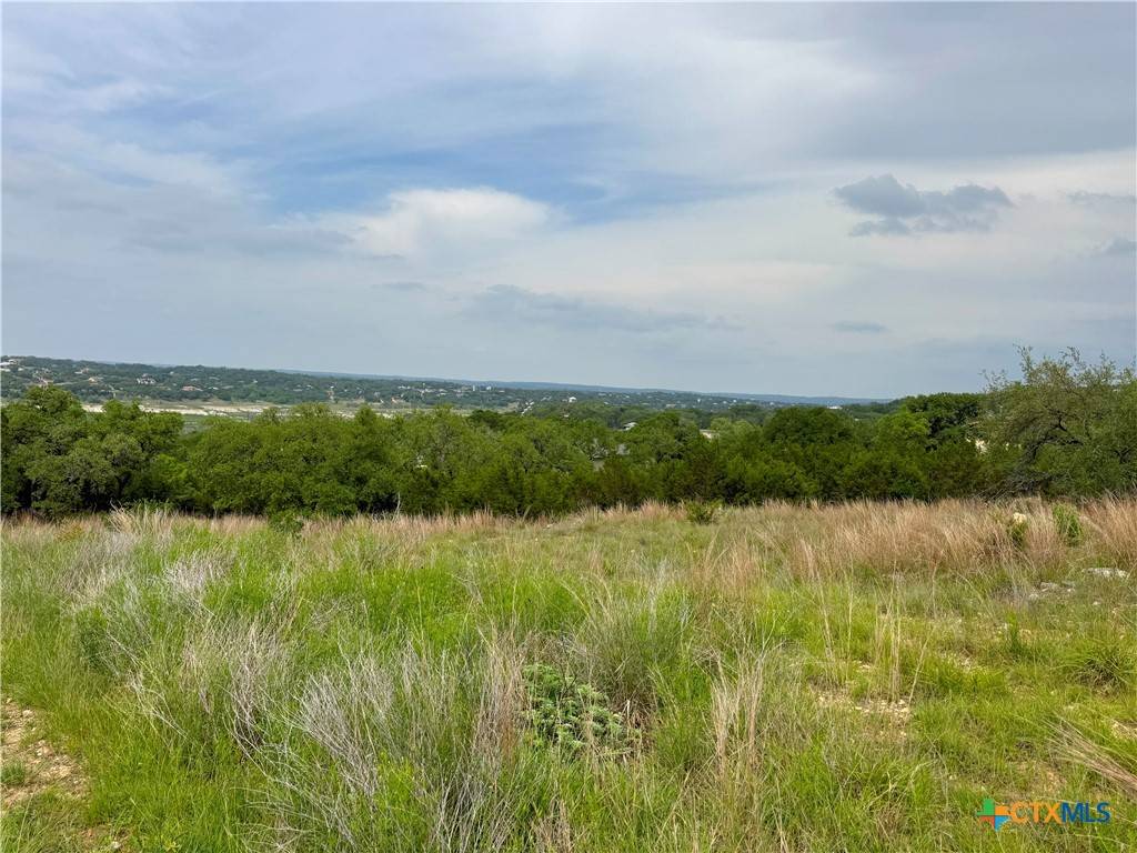 Canyon Lake, TX 78133,2253 Bella VIS