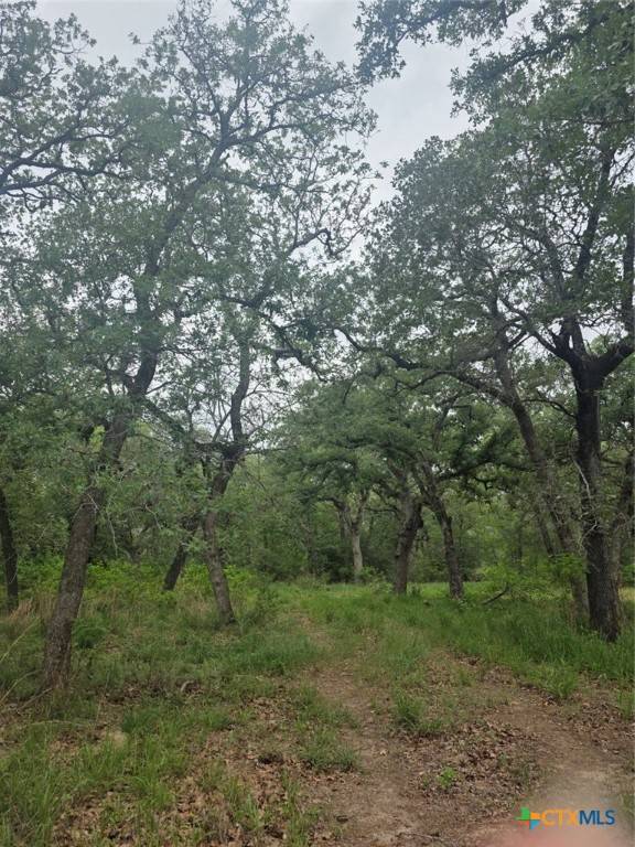 Seguin, TX 78155,1060 Vivroux Ranch RD